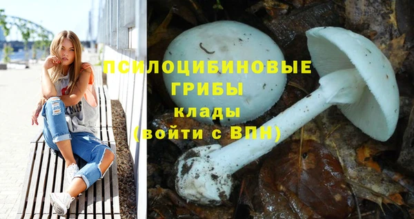 крисы Галич