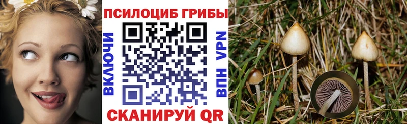 Псилоцибиновые грибы мухоморы  Исилькуль 